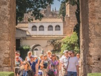 1780991453_elf-sevilla-459.jpg